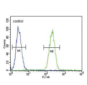 GIPR / GIP Receptor Antibody - GIPR Antibody flow cytometry of MDA-MB231 cells (right histogram) compared to a negative control cell (left histogram). FITC-conjugated goat-anti-rabbit secondary antibodies were used for the analysis.