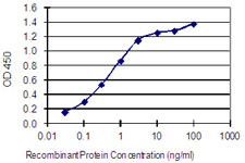 GJA8 / CX50 / Connexin 50 Antibody - Detection limit for recombinant GST tagged GJA8 is 0.03 ng/ml as a capture antibody.