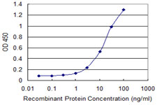GJB1 / CX32 / Connexin 32 Antibody - Detection limit for recombinant GST tagged GJB1 is 0.3 ng/ml as a capture antibody.