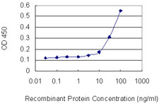 GJB2 / CX26 / Connexin 26 Antibody - Detection limit for recombinant GST tagged GJB2 is 3 ng/ml as a capture antibody.