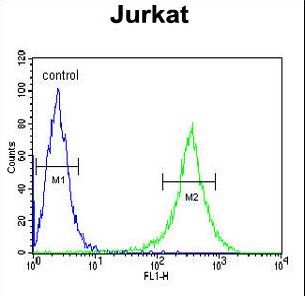 GLCNE / GNE Antibody - GNE Antibody flow cytometry of Jurkat cells (right histogram) compared to a negative control cell (left histogram). FITC-conjugated goat-anti-rabbit secondary antibodies were used for the analysis.