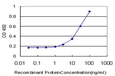 GLI3 Antibody - Detection limit for recombinant GST tagged GLI3 is approximately 1 ng/ml as a capture antibody.