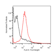 GLP1R / GLP-1 Receptor Antibody - Flow cytometric analysis of CHO-K1/GLP1/Ga15 stable cell expressing GLP1R and CHO negative control cell with GLP1R Antibody, mAb, Mouse (red and black respectively). The signal was developed with iFluor647 conjugated Goat Anti-Mouse IgG.