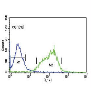 GLS / Glutaminase Antibody - GLS Antibody flow cytometry of HepG2 cells (right histogram) compared to a negative control cell (left histogram). FITC-conjugated goat-anti-rabbit secondary antibodies were used for the analysis.