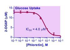 Glucose Assay Kit - Glucose transport inhibition curve with phloretin. PANC-1 cells were seeded at 10,000 cells per well.