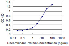 GLYAT Antibody - Detection limit for recombinant GST tagged GLYAT is 0.1 ng/ml as a capture antibody.