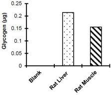 Glycogen Assay Kit - Measurement of glycogen levels in rat Liver (20 µg) and rat muscle (40 µg).