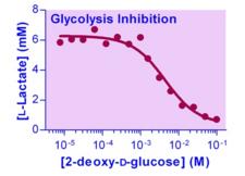 Glycolysis Assay Kit