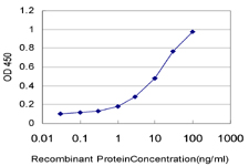 GMPPB Antibody - Detection limit for recombinant GST tagged GMPPB is approximately 0.3 ng/ml as a capture antibody.