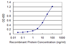 GNA14 Antibody - Detection limit for recombinant GST tagged GNA14 is 0.3 ng/ml as a capture antibody.