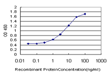 GNAI2 Antibody - Detection limit for recombinant GST tagged GNAI2 is approximately 0.3 ng/ml as a capture antibody.