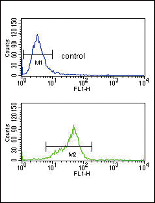 GNAO1 Antibody - GNAO1 Antibody flow cytometry of K562 cells (bottom histogram) compared to a negative control cell (top histogram). FITC-conjugated goat-anti-rabbit secondary antibodies were used for the analysis.