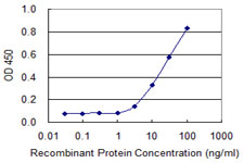 GNAQ Antibody - Detection limit for recombinant GST tagged GNAQ is 1 ng/ml as a capture antibody.