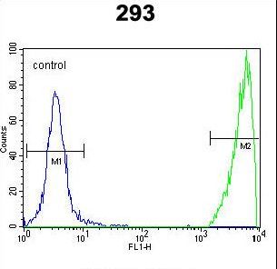 GNAS Antibody - GNAS Antibody flow cytometry of 293 cells (right histogram) compared to a negative control cell (left histogram). FITC-conjugated goat-anti-rabbit secondary antibodies were used for the analysis.