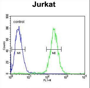GNAT1 Antibody - GNAT1 Antibody flow cytometry of Jurkat cells (right histogram) compared to a negative control cell (left histogram). FITC-conjugated goat-anti-rabbit secondary antibodies were used for the analysis.