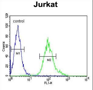 GNB1 Antibody - GNB1 Antibody flow cytometry of Jurkat cells (right histogram) compared to a negative control cell (left histogram). FITC-conjugated goat-anti-rabbit secondary antibodies were used for the analysis.