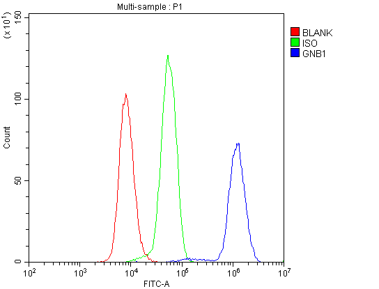 GNB1 Antibody - Flow Cytometry analysis of U937 cells using anti-GNB1 antibody. Overlay histogram showing U937 cells stained with anti-GNB1 antibody (Blue line). The cells were blocked with 10% normal goat serum. And then incubated with rabbit anti-GNB1 Antibody (1µg/10E6 cells) for 30 min at 20°C. DyLight®488 conjugated goat anti-rabbit IgG (5-10µg/10E6 cells) was used as secondary antibody for 30 minutes at 20°C. Isotype control antibody (Green line) was rabbit IgG (1µg/10E6 cells) used under the same conditions. Unlabelled sample (Red line) was also used as a control.