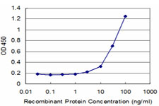GNG11 Antibody - Detection limit for recombinant GST tagged GNG11 is approximately 3 ng/ml as a capture antibody.