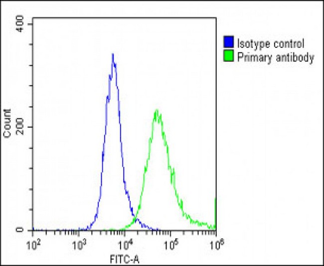 GNG3 Antibody - Overlay histogram showing U-87 MG cells stained with GNG3 Antibody (C-Term) (green line). The cells were fixed with 2% paraformaldehyde (10 min) and then permeabilized with 90% methanol for 10 min. The cells were then icubated in 2% bovine serum albumin to block non-specific protein-protein interactions followed by the antibody (GNG3 Antibody (C-Term), 1:25 dilution) for 60 min at 37°C. The secondary antibody used was Goat-Anti-Rabbit IgG, DyLight® 488 Conjugated Highly Cross-Adsorbed (1583138) at 1/200 dilution for 40 min at 37°C. Isotype control antibody (blue line) was rabbit IgG1 (1µg/1x10^6 cells) used under the same conditions. Acquisition of >10, 000 events was performed.