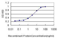 GNG3 Antibody - Detection limit for recombinant GST tagged GNG3 is approximately 1 ng/ml as a capture antibody.