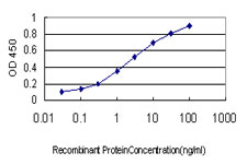 GNG4 Antibody - Detection limit for recombinant GST tagged GNG4 is approximately 0.03 ng/ml as a capture antibody.