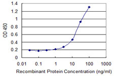 GNG5 Antibody - Detection limit for recombinant GST tagged GNG5 is 1 ng/ml as a capture antibody.