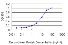 GNG7 Antibody - Detection limit for recombinant GST tagged GNG7 is approximately 1 ng/ml as a capture antibody.