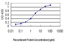 GNGT2 Antibody - Detection limit for recombinant GST tagged GNGT2 is approximately 0.03 ng/ml as a capture antibody.