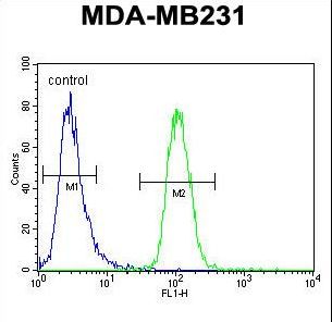 GNL3L Antibody - GNL3L Antibody flow cytometry of MDA-MB231 cells (right histogram) compared to a negative control cell (left histogram). FITC-conjugated goat-anti-rabbit secondary antibodies were used for the analysis.