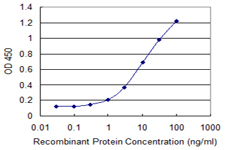 GNT-V / MGAT5 Antibody - Detection limit for recombinant GST tagged MGAT5 is 0.1 ng/ml as a capture antibody.