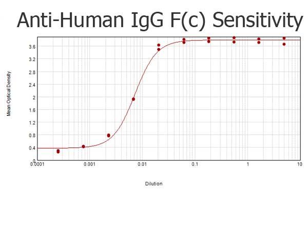 Human IgG Fc Antibody - ELISA results of purified Goat anti-Human IgG F(c) Antibody Biotin conjugated tested against purified Human IgG F(c). Each well was coated in duplicate with 1.0 µg of Human IgG F(c)  The starting dilution of antibody was 5µg/ml and the X-axis represents the Log10 of a 3-fold dilution. This titration is a 4-parameter curve fit where the IC50 is defined as the titer of the antibody. Assay performed using 3% fish gelatin as blocking buffer, Streptavidin Peroxidase Conjugated and TMB substrate