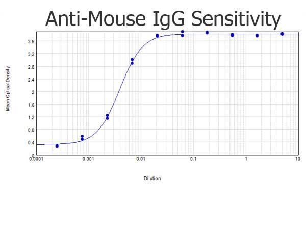 Mouse IgG Antibody - ELISA results of purified Goat anti-Mouse IgG Antibody Biotin Conjugated tested against purified Mouse IgG. Each well was coated in duplicate with 1.0 µg of Mouse IgG  The starting dilution of antibody was 5µg/ml and the X-axis represents the Log10 of a 3-fold dilution. This titration is a 4-parameter curve fit where the IC50 is defined as the titer of the antibody. Assay performed using 3% fish gelatin as blocking buffer, Streptavidin Peroxidase Conjugated