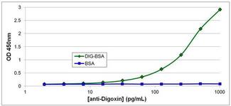 Mouse IgG Antibody - Mouse IgG (H+L) Antibody in ELISA (ELISA)