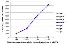 Mouse IgG2c Antibody - FLISA plate was coated with purified mouse IgG1, IgG2a, IgG2b, IgG2c, IgG3, IgM, and IgA. Immunoglobulins were detected with serially diluted Goat Anti-Mouse IgG2c, Human/Bovine/Horse SP ads-FITC.