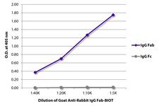 Rabbit IgG Fab Antibody - ELISA plate was coated with purified rabbit IgG Fab and IgG Fc. Immunoglobulins were detected with serially diluted Goat Anti-Rabbit IgG Fab-BIOT followed by Streptavidin-HRP.