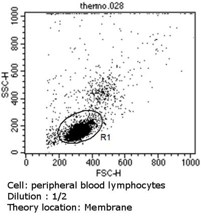 Rabbit IgG Antibody - Rabbit IgG (H+L) Antibody in Flow Cytometry (Flow)