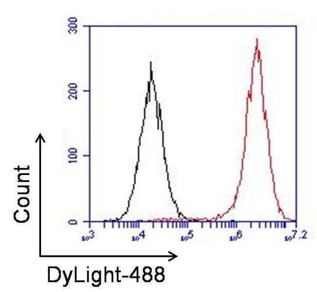 Rabbit IgG Antibody - Rabbit IgG (H+L) Antibody in Flow Cytometry (Flow)