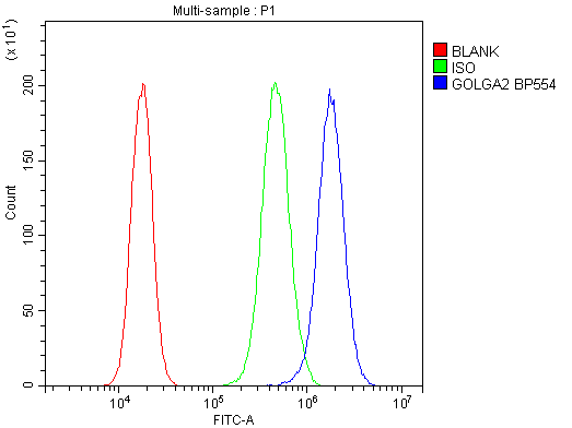 GOLGA2 / GM130 Antibody - Flow Cytometry analysis of PC-3 cells using anti-GM130 antibody. Overlay histogram showing PC-3 cells stained with anti-GM130 antibody (Blue line). The cells were blocked with 10% normal goat serum. And then incubated with rabbit anti-GM130 Antibody (1µg/10E6 cells) for 30 min at 20°C. DyLight®488 conjugated goat anti-rabbit IgG (5-10µg/10E6 cells) was used as secondary antibody for 30 minutes at 20°C. Isotype control antibody (Green line) was rabbit IgG (1µg/10E6 cells) used under the same conditions. Unlabelled sample (Red line) was also used as a control.
