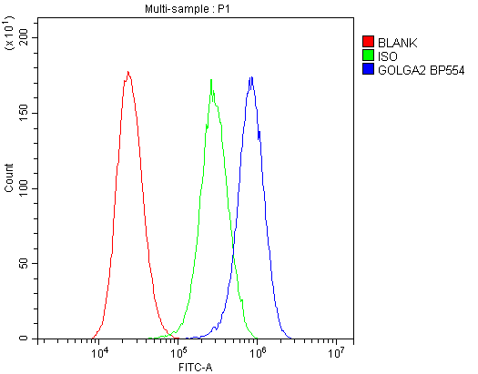 GOLGA2 / GM130 Antibody - Flow Cytometry analysis of U20S cells using anti-GM130 antibody. Overlay histogram showing U20S cells stained with anti-GM130 antibody (Blue line). The cells were blocked with 10% normal goat serum. And then incubated with rabbit anti-GM130 Antibody (1µg/10E6 cells) for 30 min at 20°C. DyLight®488 conjugated goat anti-rabbit IgG (5-10µg/10E6 cells) was used as secondary antibody for 30 minutes at 20°C. Isotype control antibody (Green line) was rabbit IgG (1µg/10E6 cells) used under the same conditions. Unlabelled sample (Red line) was also used as a control.