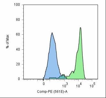 GOLGA4 / GCP2 Antibody - PSMA Antibody in Flow Cytometry (Flow)