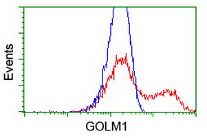 GOLM1 / GP73 / GOLPH2 Antibody - HEK293T cells transfected with either overexpress plasmid (Red) or empty vector control plasmid (Blue) were immunostained by anti-GOLM1 antibody, and then analyzed by flow cytometry.