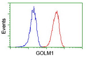GOLM1 / GP73 / GOLPH2 Antibody - Flow cytometry of Jurkat cells, using anti-GOLM1 antibody (Red), compared to a nonspecific negative control antibody (Blue).