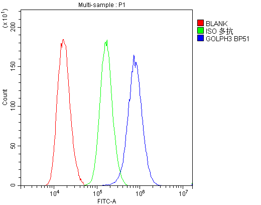 GOLPH3 Antibody - Flow Cytometry analysis of U87 cells using anti-GOLPH3 antibody. Overlay histogram showing U87 cells stained with anti-GOLPH3 antibody (Blue line). The cells were blocked with 10% normal goat serum. And then incubated with rabbit anti-GOLPH3 Antibody (1µg/10E6 cells) for 30 min at 20°C. DyLight®488 conjugated goat anti-rabbit IgG (5-10µg/10E6 cells) was used as secondary antibody for 30 minutes at 20°C. Isotype control antibody (Green line) was rabbit IgG (1µg/10E6 cells) used under the same conditions. Unlabelled sample (Red line) was also used as a control.
