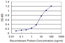 GOT2 Antibody - Detection limit for recombinant GST tagged GOT2 is 0.3 ng/ml as a capture antibody.