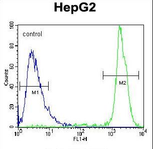 GPAM Antibody - GPAM Antibody flow cytometry of HepG2 cells (right histogram) compared to a negative control cell (left histogram). FITC-conjugated goat-anti-rabbit secondary antibodies were used for the analysis.