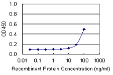 GPC5 / Glypican 5 Antibody - Detection limit for recombinant GST tagged GPC5 is 3 ng/ml as a capture antibody.