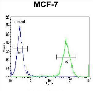 GPD1L Antibody - GPD1L Antibody flow cytometry of MCF-7 cells (right histogram) compared to a negative control cell (left histogram). FITC-conjugated goat-anti-rabbit secondary antibodies were used for the analysis.
