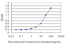 GPD2 Antibody - Detection limit for recombinant GST tagged GPD2 is approximately 1 ng/ml as a capture antibody.