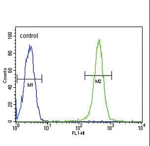 GPI Antibody - GPI Antibody flow cytometry of Ramos cells (right histogram) compared to a negative control cell (left histogram). FITC-conjugated goat-anti-rabbit secondary antibodies were used for the analysis.