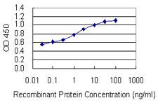 GPI Antibody - Detection limit for recombinant GST tagged GPI is 0.03 ng/ml as a capture antibody.